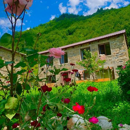 River Side Svaneti Μέστια Εξωτερικό φωτογραφία
