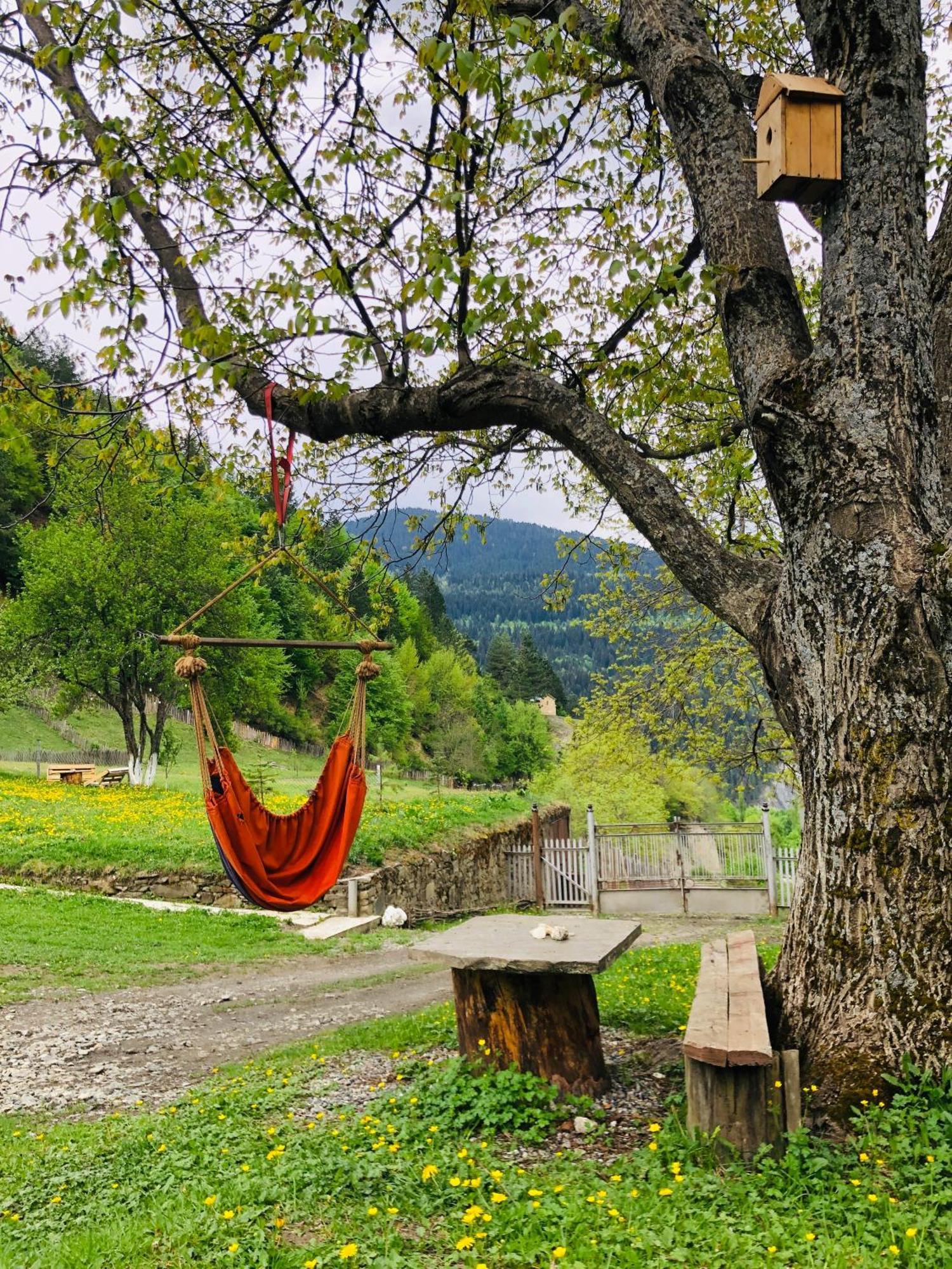 River Side Svaneti Μέστια Εξωτερικό φωτογραφία