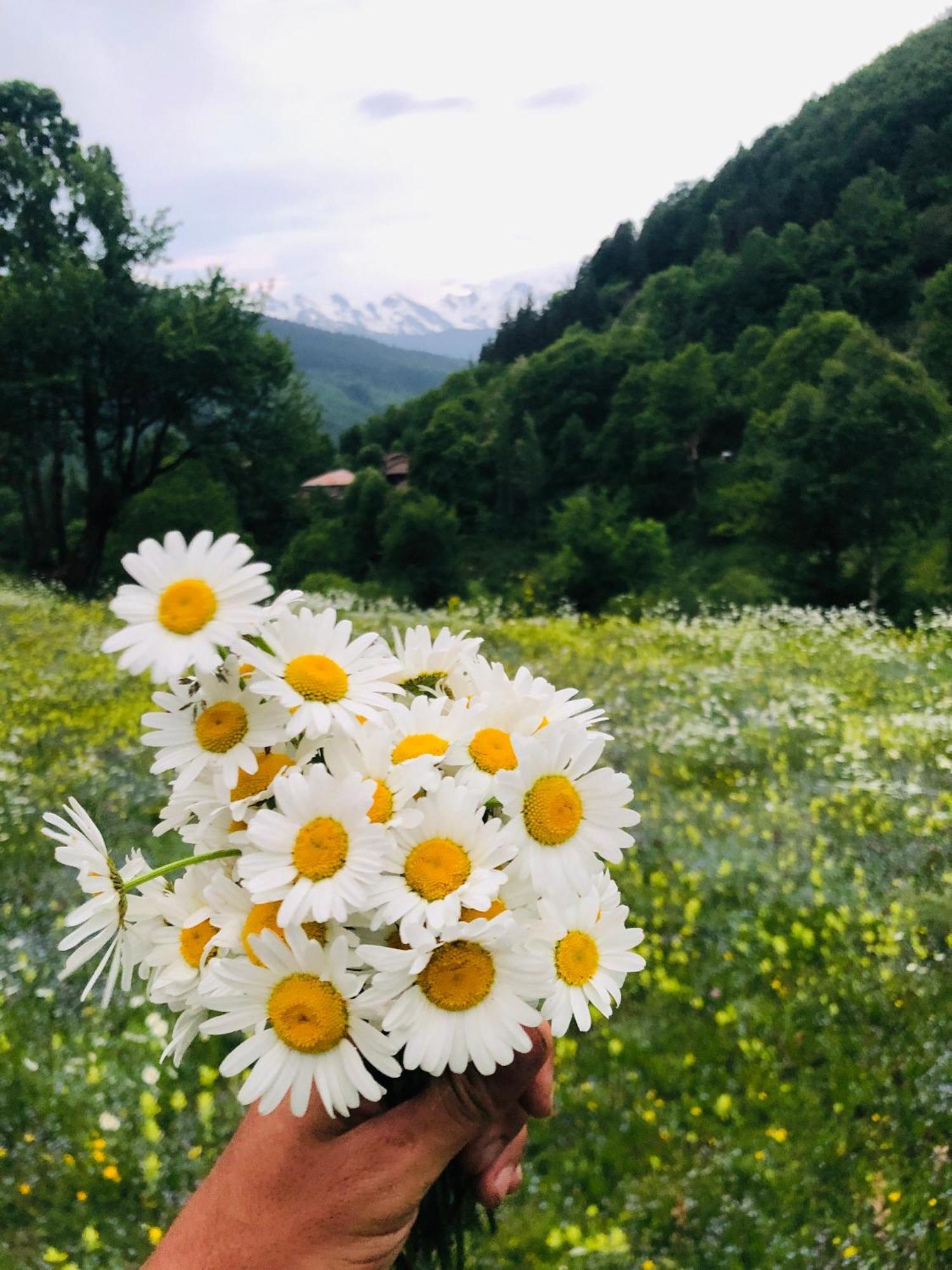 River Side Svaneti Μέστια Εξωτερικό φωτογραφία